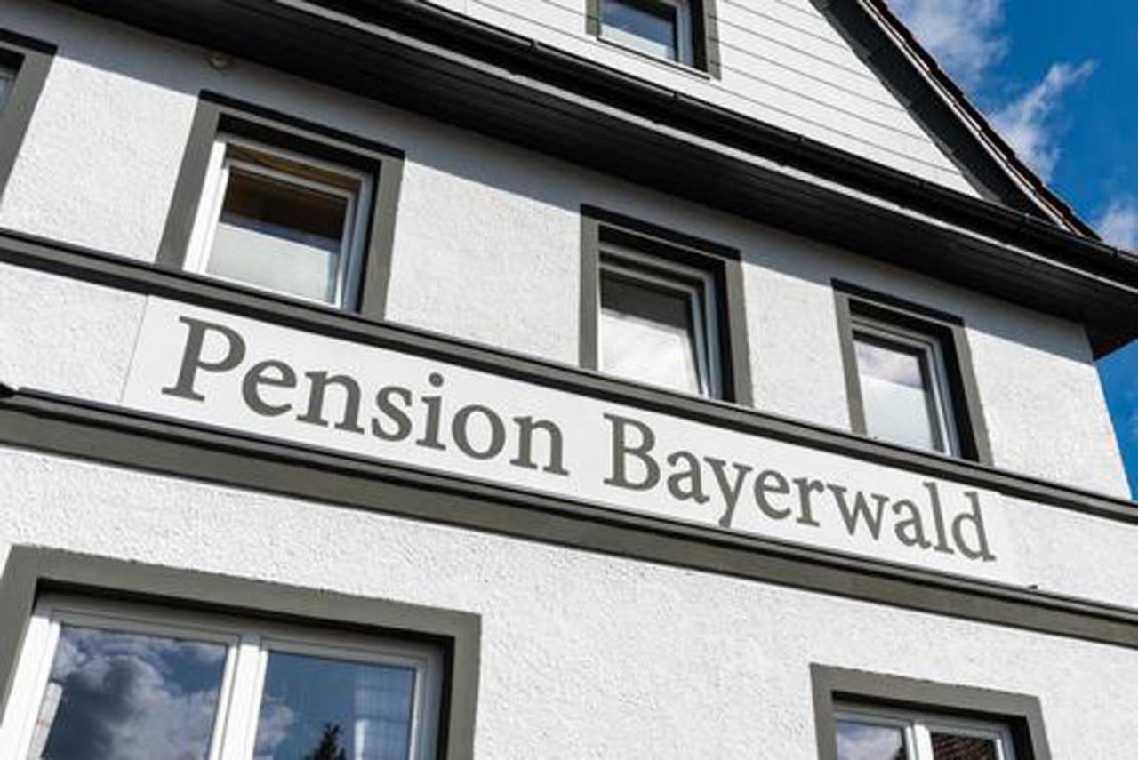 Pension Bayerwald Mit Ferienwohnung Bodenmais Dış mekan fotoğraf