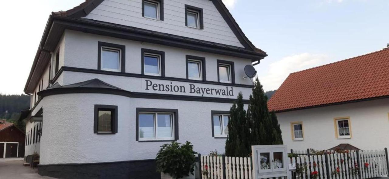Pension Bayerwald Mit Ferienwohnung Bodenmais Dış mekan fotoğraf